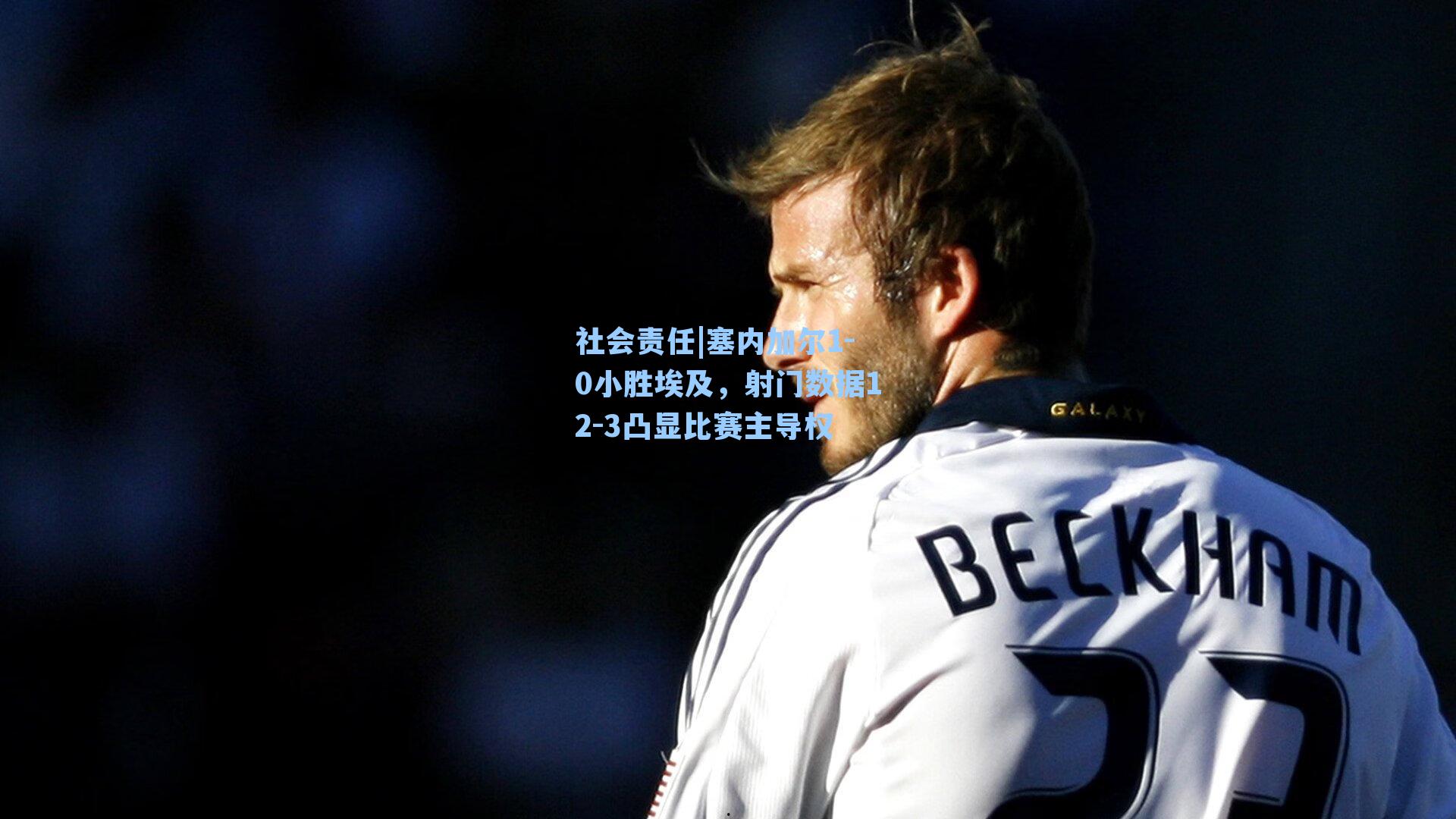 塞内加尔1-0小胜埃及,射门数据12-3凸显比赛主导权