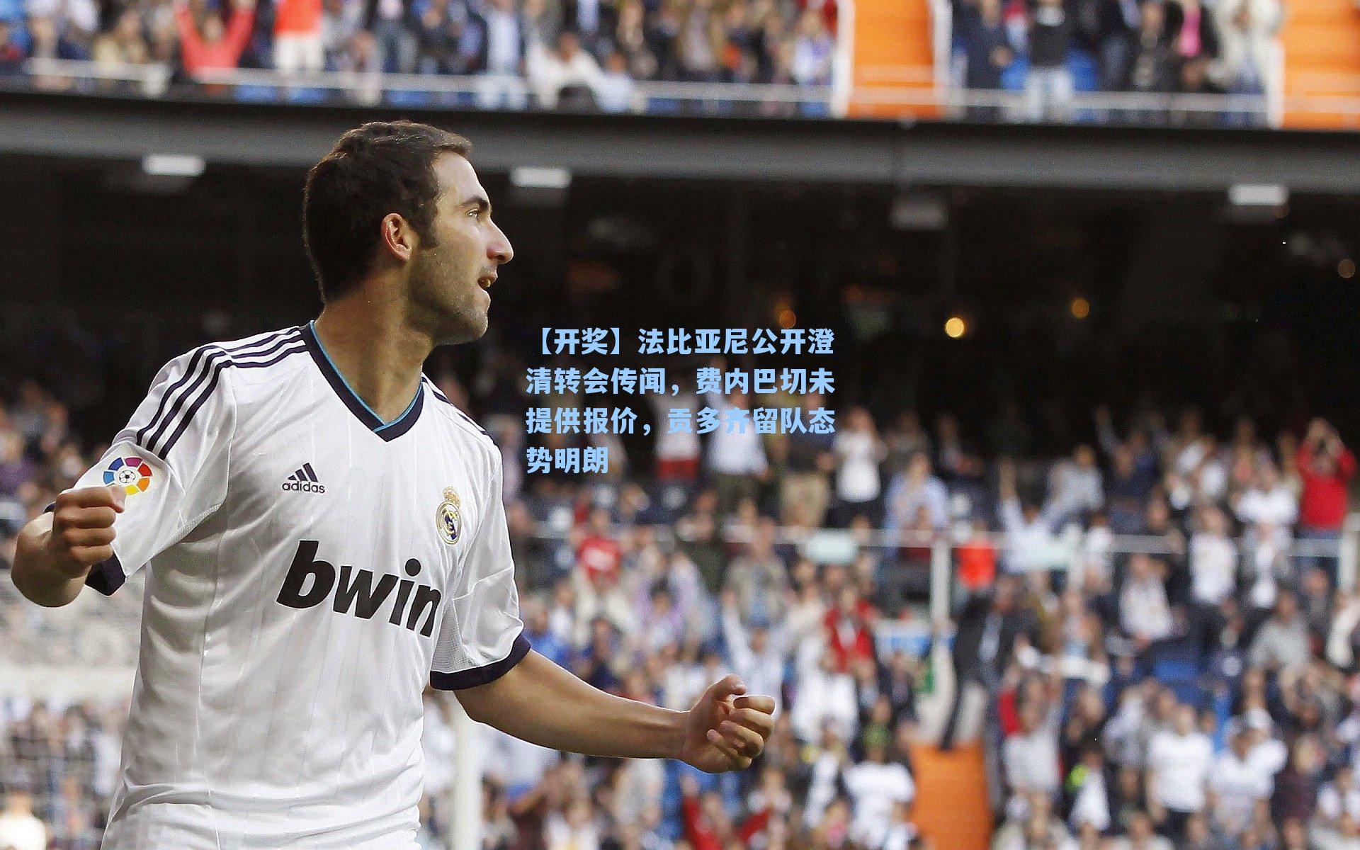法比亚尼公开澄清转会传闻，费内巴切未提供报价，贡多齐留队态势明朗
